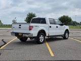 Used 2013 Ford F150 XLT w/ Mid Equipment Group image 3