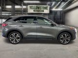 Used 2021 Ford Escape SE w/ SE Sport Appearance Package image 5