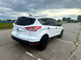 Used 2014 Ford Escape S image 5