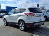Used 2013 Ford Escape SEL image 4