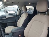 Used 2022 Ford Escape SE w/ Convenience Package image 4