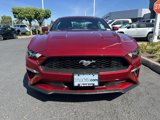 Used 2018 Ford Mustang Premium image 3