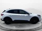 Used 2022 Ford Escape SE image 2