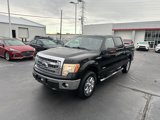Used 2013 Ford F150 XLT w/ Luxury Equipment Group image 5