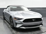 Used 2022 Ford Mustang Premium image 4