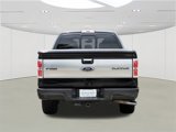 Used 2014 Ford F150 Platinum image 5