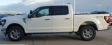 New 2024 Ford F150 XLT w/ Equipment Group 302A MID image 5
