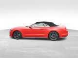 Used 2020 Ford Mustang Premium image 5