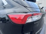 Used 2021 Ford Escape Titanium image 4