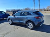 Used 2023 Ford Escape Active w/ Tech Pack #2 image 6