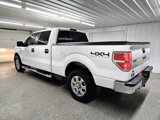 Used 2013 Ford F150 XLT w/ Luxury Equipment Group image 3
