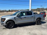 New 2025 Ford F150 STX w/ STX Black Appearance Package image 4