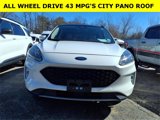 Used 2020 Ford Escape Titanium image 2