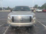 Used 2010 Ford F150 XLT image 2