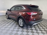 Used 2021 Ford Escape SE w/ Convenience Package image 5