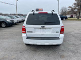 Used 2010 Ford Escape XLT image 4