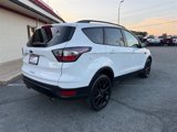 Used 2017 Ford Escape SE w/ SE Sport Appearance Package image 3