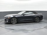Used 2023 Ford Mustang Premium image 4