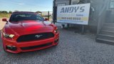Used 2017 Ford Mustang Convertible w/ Equipment Group 051A image 2