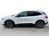 Used 2021 Ford Escape SE w/ SE Sport Appearance Package image 2