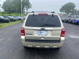 Used 2012 Ford Escape XLT image 5