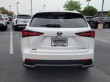 Used 2018 Lexus NX 300h AWD image 4