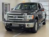 Used 2013 Ford F150 XLT w/ Luxury Equipment Group image 3