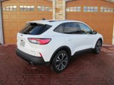 Used 2022 Ford Escape SE w/ SE Sport Appearance Package image 4