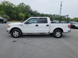 Used 2013 Ford F150 XLT image 3