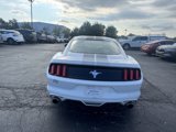 Used 2017 Ford Mustang Coupe image 5