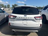 Used 2020 Ford Escape SEL image 6