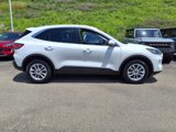 Certified 2021 Ford Escape SE w/ Convenience Package image 2