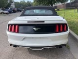 Used 2017 Ford Mustang Premium image 6