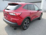 Used 2022 Ford Escape SE w/ SE Sport Appearance Package image 5