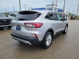 Certified 2020 Ford Escape SE image 4