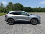 Used 2022 Ford Escape SE w/ Convenience Package image 6