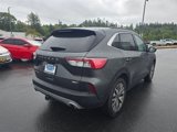 Used 2020 Ford Escape Titanium image 4