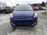 Used 2014 Ford Escape SE w/ Equipment Group 201A image 2