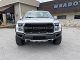 Used 2019 Ford F150 Raptor w/ Equipment Group 802A Luxury image 5