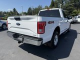 Used 2016 Ford F150 XLT image 3