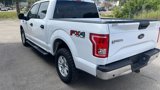 Used 2015 Ford F150 XLT w/ Equipment Group 301A Mid image 5