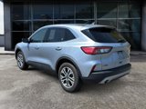 Used 2022 Ford Escape SEL image 4