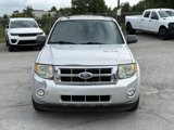Used 2010 Ford Escape XLT image 3