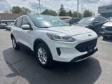 Used 2020 Ford Escape SE image 4