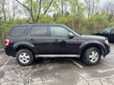 Used 2009 Ford Escape XLT image 2