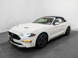Used 2023 Ford Mustang Premium image 2