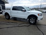 Used 2012 Ford F150 FX4 w/ FX Luxury Pkg image 5