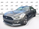 Used 2016 Ford Mustang Coupe w/ Equipment Group 051A image 3