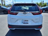 Certified 2021 Honda CR-V Special Edition image 4