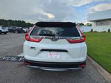 Used 2019 Honda CR-V LX image 3